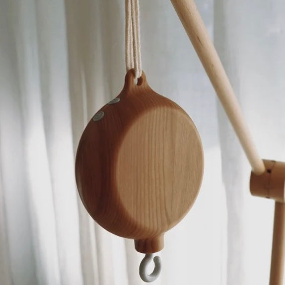 Muziekbox (hout look - mat)